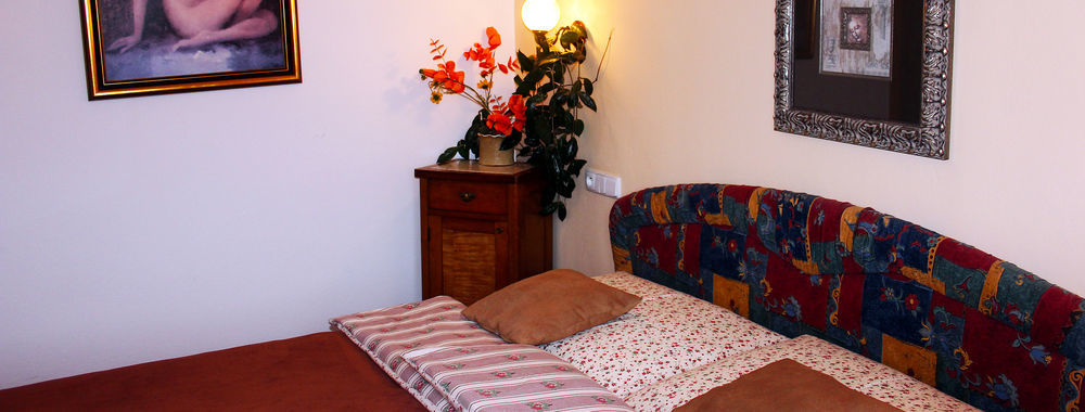 Wellness Pension Ametyst Český Krumlov Dış mekan fotoğraf